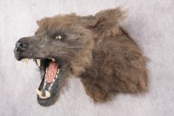 Werewolf Shoulder Mount SKU 2770 - Image 9