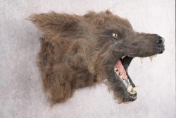 Werewolf Shoulder Mount SKU 2770 - Image 8