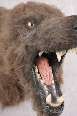 Werewolf Shoulder Mount SKU 2770 - Image 7