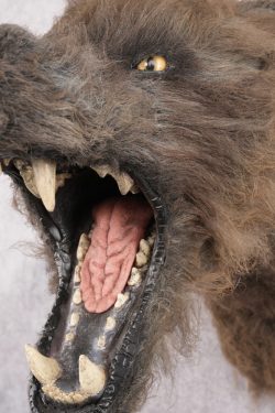 Werewolf Shoulder Mount SKU 2770 - Image 6