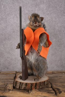 Hunting Squirrel with Rifle and Orange Vest SKU 2935