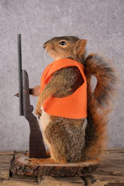 Hunting Squirrel with Rifle and Orange Vest SKU 2934 - Image 5