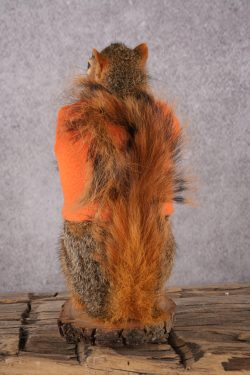 Hunting Squirrel with Rifle and Orange Vest SKU 2934 - Image 4