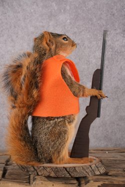 Hunting Squirrel with Rifle and Orange Vest SKU 2934 - Image 3