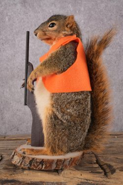 Hunting Squirrel with Rifle and Orange Vest SKU 2932 - Image 5
