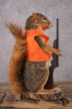 Hunting Squirrel with Rifle and Orange Vest SKU 2932 - Image 3