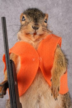 Hunting Squirrel with Rifle and Orange Vest SKU 2932 - Image 2