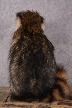 Cracker Jack Raccoon SKU 2919 - Image 2