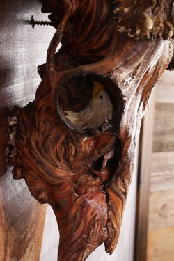 Painted Whitetail Deer Skull SKU 2918 - Image 5