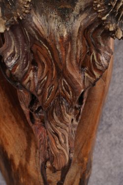 Painted Whitetail Deer Skull SKU 2918 - Image 3