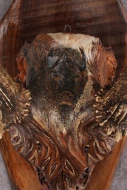 Painted Whitetail Deer Skull SKU 2918 - Image 2