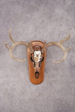 Painted Whitetail Deer Skull SKU 2915