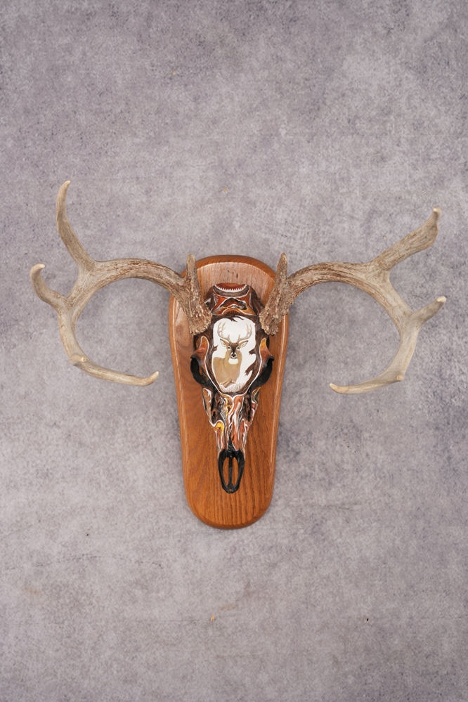 A7408238 Painted Whitetail Deer Skull SKU 2915 - Image 1