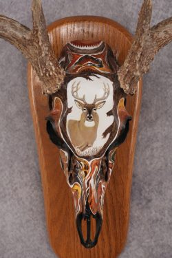 Painted Whitetail Deer Skull SKU 2915 - Image 2