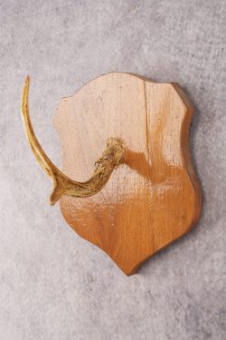 Whitetail Deer Hook Display SKU 3021 - Image 4