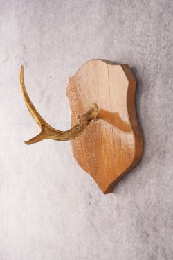 Whitetail Deer Hook Display SKU 3021 - Image 3