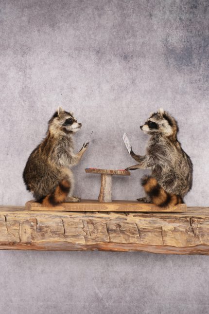 Poker Playing Raccoons SKU 3077