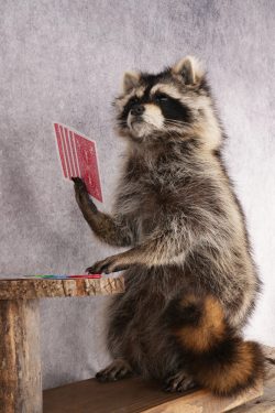 Poker Playing Raccoons SKU 3077 - Image 5