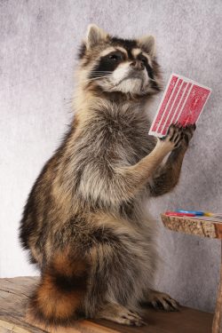 Poker Playing Raccoons SKU 3077 - Image 4