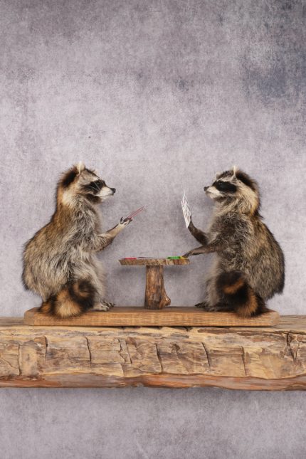 Poker Playing Raccoons SKU 3076