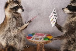 Poker Playing Raccoons SKU 3076 - Image 3