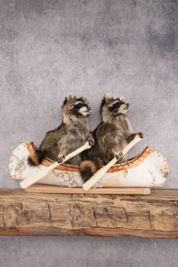 2 Raccoons in a Canoe SKU 3092