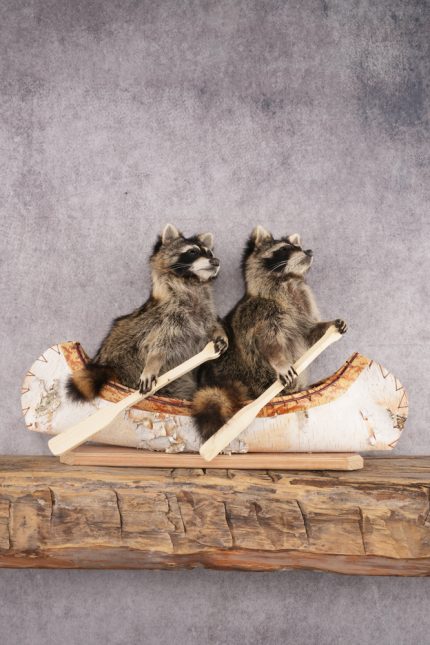 2 Raccoons in a Canoe SKU 3092
