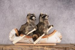 2 Raccoons in a Canoe SKU 3092 - Image 7