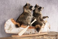 2 Raccoons in a Canoe SKU 3092 - Image 5