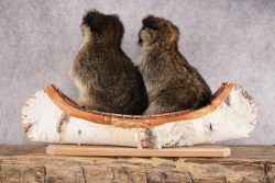 2 Raccoons in a Canoe SKU 3092 - Image 2