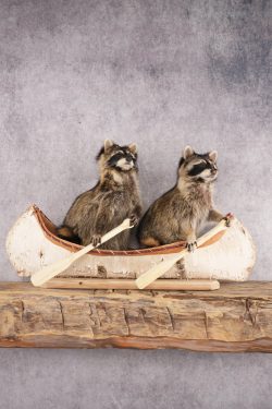 2 Raccoons in a Canoe SKU 3090