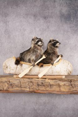 2 Raccoons in a Canoe SKU 3091