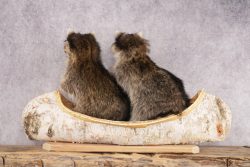 2 Raccoons in a Canoe SKU 3091 - Image 2