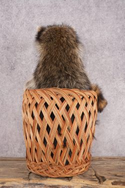 Raccoon in a Basket SKU 3096 - Image 2
