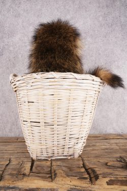 Raccoon in a Basket SKU 3095 - Image 2