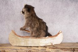 Raccoon in a Canoe SKU 3053 - Image 2