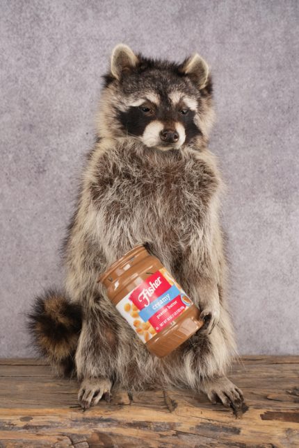 Peanut Butter Raccoon SKU 3052