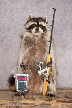 Fishing Raccoon SKU 3055