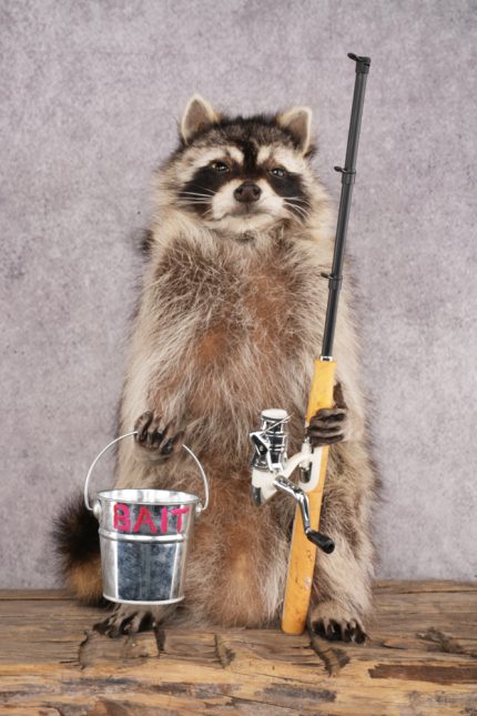 Fishing Raccoon SKU 3055