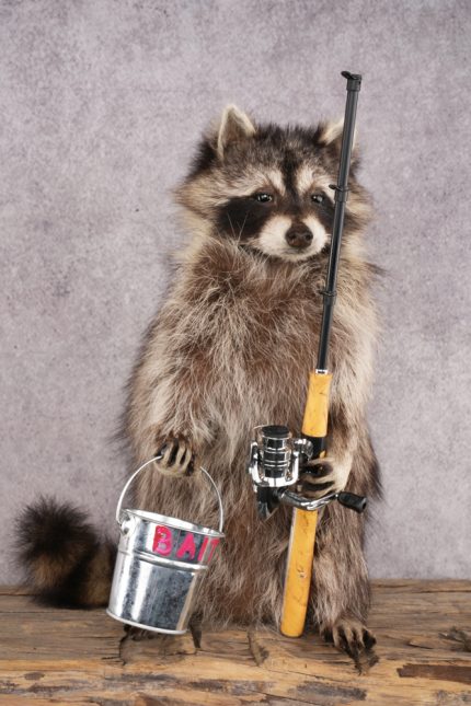 Fishing Raccoon SKU 3056