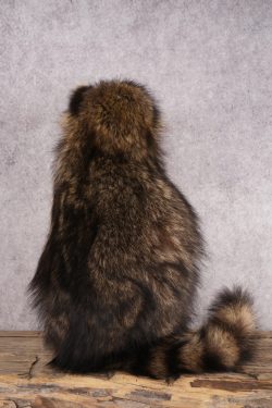 Fishing Raccoon SKU 3056 - Image 3