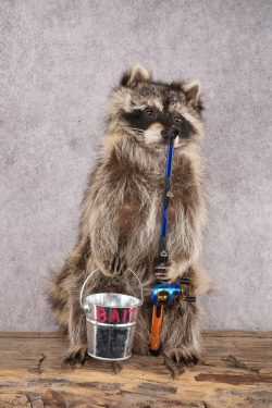 Fishing Raccoon SKU 3057
