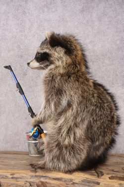 Fishing Raccoon SKU 3057 - Image 4