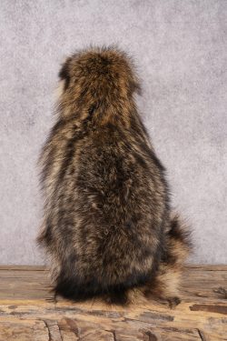 Fishing Raccoon SKU 3057 - Image 3