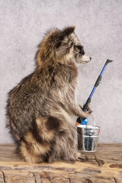 Fishing Raccoon SKU 3057 - Image 2