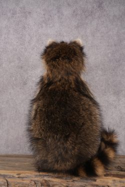 Goody Basket Raccoon SKU 3085 - Image 3