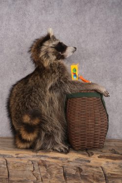 Goody Basket Raccoon SKU 3085 - Image 2