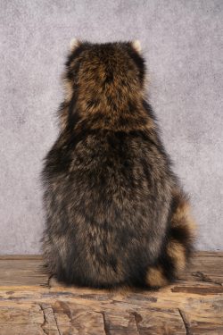 Goody Basket Raccoon SKU 3086 - Image 2