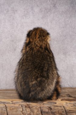 Goody Basket Raccoon SKU 3089 - Image 3