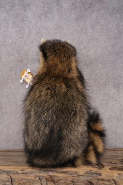 Guitar Raccoon SKU 3078 - Image 3